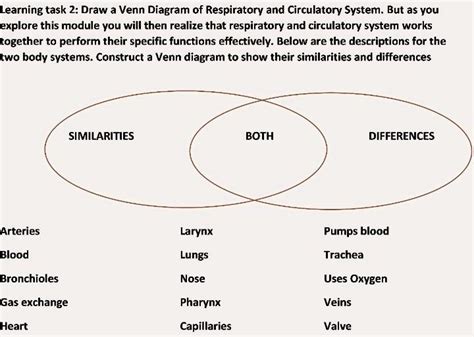 Solved Learning Task 2 Draw A Venn Diagram Of Respiratory And