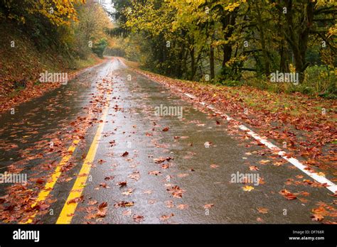 Fall Background Highway Hi Res Stock Photography And Images Alamy