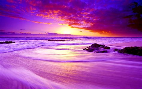 Purple Beach Sunset Hd Wallpaper Background Image