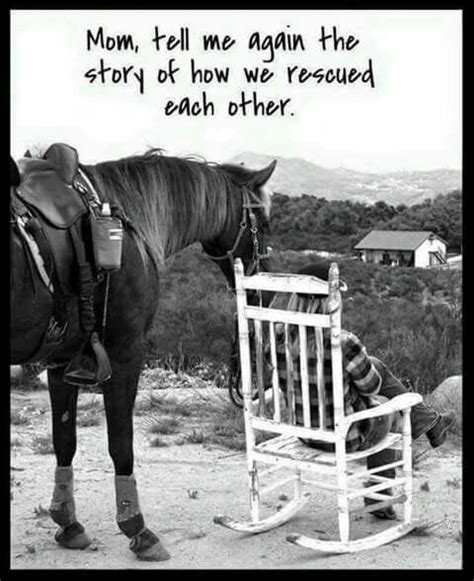 The Bond Between Horse And Human Horse Riding Quotes Horse Quotes