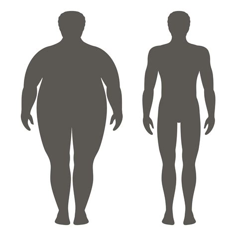 Vector Illustration Of A Man Before And After Weight Loss Male Body