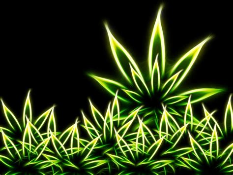Download stoner wallpaper for free, use for mobile and desktop. 47+ Stoner Wallpaper Weed on WallpaperSafari