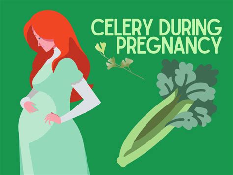 Celery During Pregnancy Benefits And Side Effects