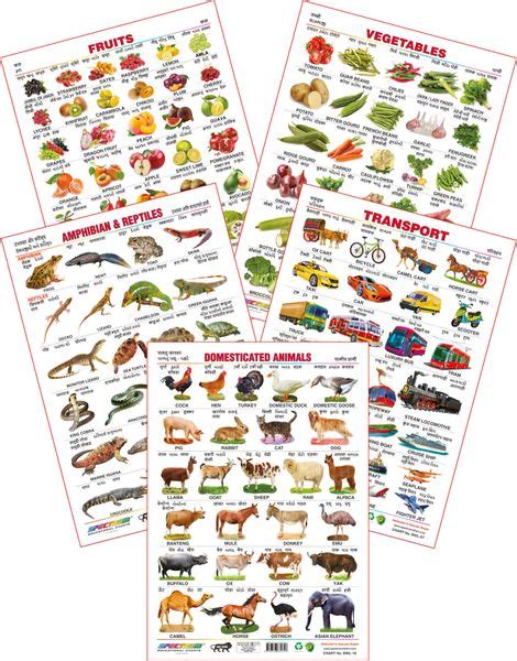 Spectrum Educational Wall Charts Set Of 5 Fruits Vegetables