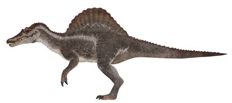 Camp Cretaceous Spinosaurus V2 By Godzillatrap On Deviantart