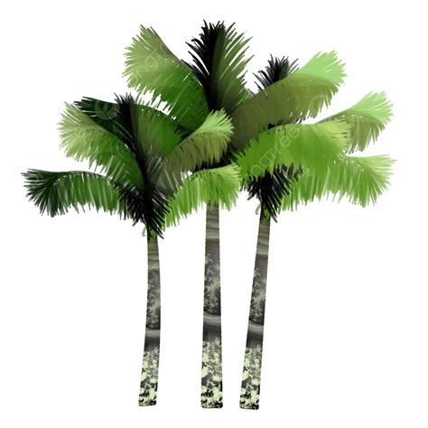Overgrown Coconut Trees Summer Coconut Tree Green Png Transparent