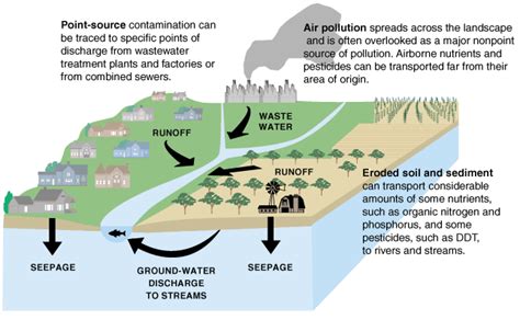 Simple Water Pollution Diagram