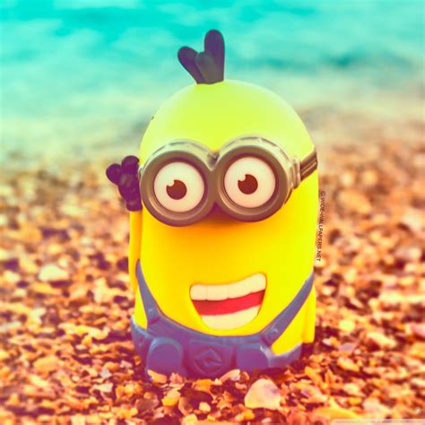 If you need to know various other wallpaper, you could see our gallery on sidebar. Minion Wallpaper for Android - WallpaperSafari