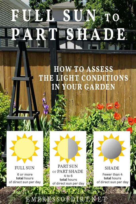 Full Sun To Shade How To Assess Light Conditions In Your Garden