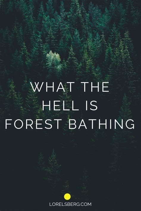 What The Hell Is Forest Bathing Happy Nature Blog Lorelsberg