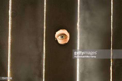Peeping Over Fence Photos And Premium High Res Pictures Getty Images