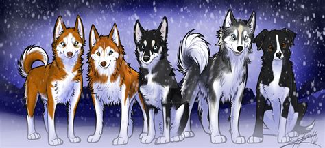 4 Huskies And Border Collie Commission By Yitchakandray On Deviantart