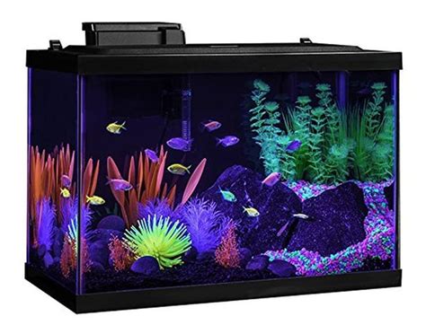 New 20 Gallon Aquarium Kit Fish Tank With Blue Neon Display Led Hood