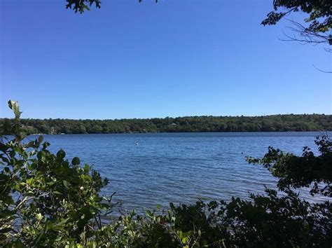 This beautiful pond is divided into two distinct basins by a narrows. Herring Pond - 02360 Real Estate - 7 Homes For Sale | Zillow