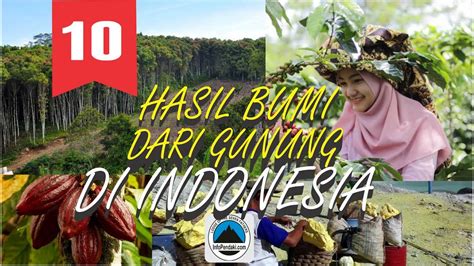 Hasil merantau di malaysia bisa bikin rumah dan buka toko #1. TOP 10 HASIL BUMI KOMODITAS DARI GUNUNG DI NUSANTARA - YouTube