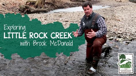 Exploring A Healthy Stream Little Rock Creek Forest Preserve Youtube