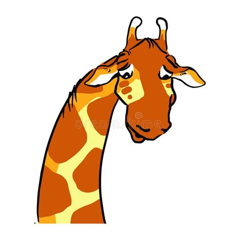14 Sad Giraffe Free Stock Photos Stockfreeimages