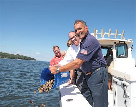 Officials Environmental Groups Partner To ‘keep Oysters In Oyster Bay