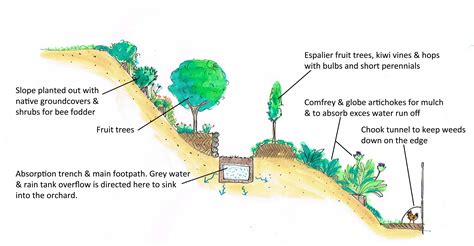 Give considerable thought to orchard design and tree quality. Good Life Permaculture Case Study (With images) | Orchard ...