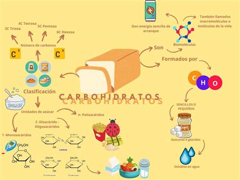 Mapa mental Carbohidratos Amanda García uDocz