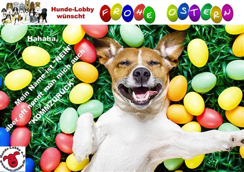 Familie sonntag — frohe ostern 01:38. Die Hunde-Lobby wünscht allen Zei- und Vierbeinern frohe ...