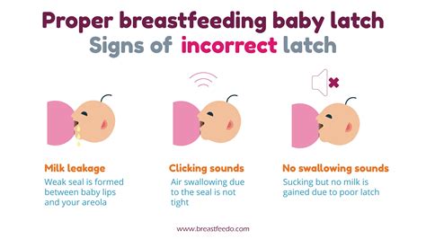 Breastfeeding Positions And Latch A Comprehensive Guide Dixon Verse