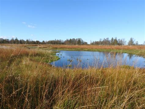Vt selle ettevõtte google profiil jm. Jardelunder Moor