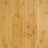 Bamboo Floors South Africa Pictures
