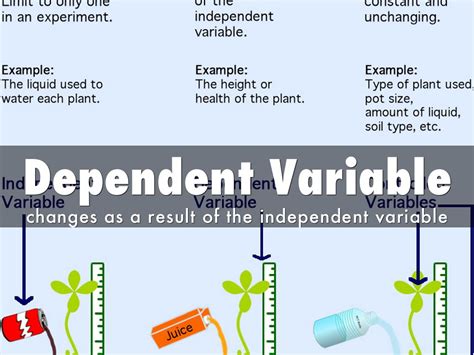 Independent Variable