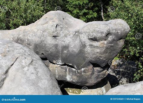 Rock Formation Stock Image Image Of Animal Geology 59724569