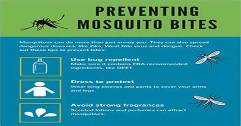 Preventing Mosquito Bites Infographic Infographics
