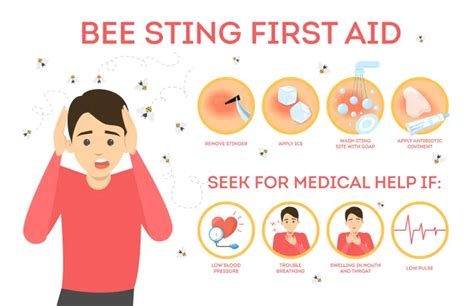Bee Stings Symptoms Risks Treatment And Prevention Activebeat