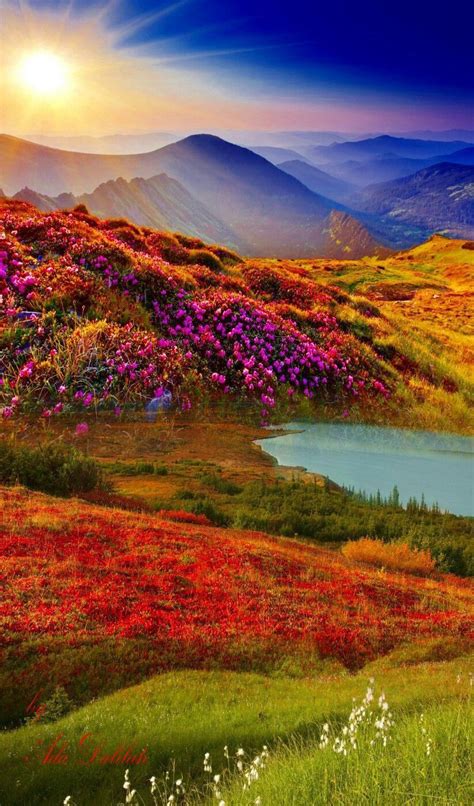 Looking for free animated sunrise morning gifs? Sunrise... | Nature pictures, Nature scenes, Beautiful nature