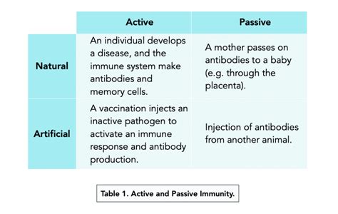 Types Of Immunity And Vaccinations A Level Biology Study Mind