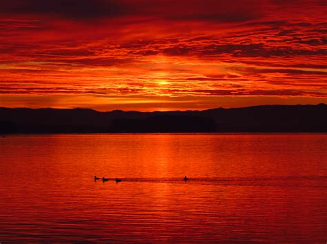 Red Sunset Lake Royalty-Free Stock Photo and Image