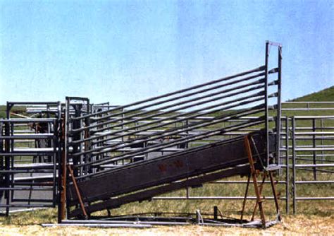 Cattle Load Out Chute By W W Livestock Systems Offered By Little Flint