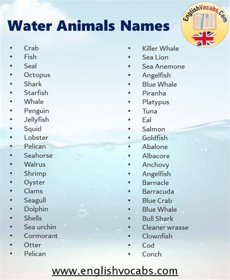 Water Animals Name List From A To Z English Vocabs