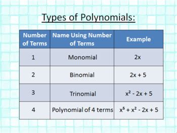 Classifying Polynomials - Algebra PowerPoint by Word on the Street