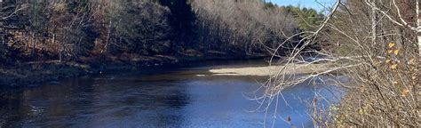 Sandy River Trail 10 Reviews Map Maine Alltrails