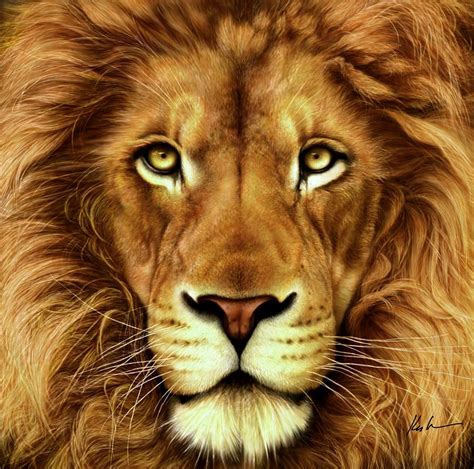 Lion Digital Art By Karen Kutoloski