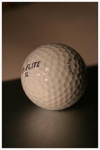 Golf Ball Detection Object Detection Dataset And Pre Trained Model By Ben Ohno