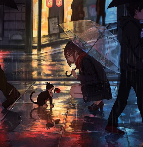 Hd Wallpaper Anime Girls Cats Umbrella Urban City Rain