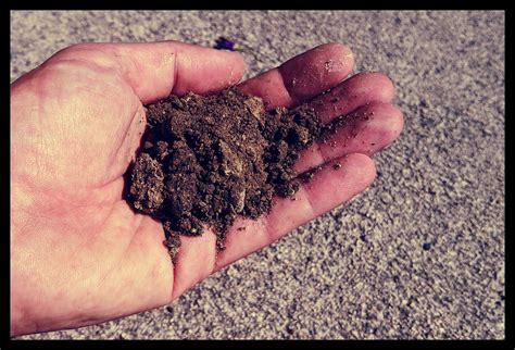 Test Your Soil Texture By Hand