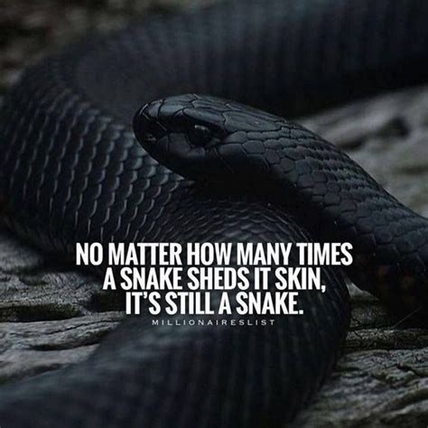 Collection 27 Snakes Quotes And Sayings With Images