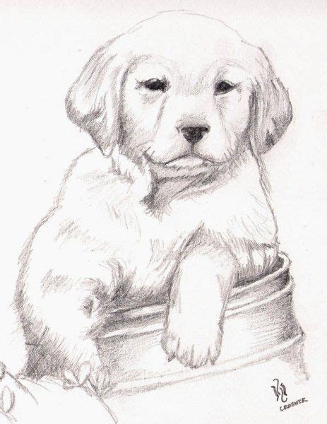 A Pencil Drawing Of A Puppy Sitting On Top Of A Bucket With His Paw