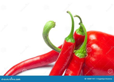 Juicy Red Chili Peppers Stock Image Image Of Shot Copy 18481141