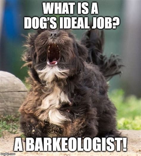 9 thoughts on how to stop annoying dog barking susan polk on april 9 2011 at 519 pm said. Dog Barking Meme | Dog jokes, Dog puns, Dog memes
