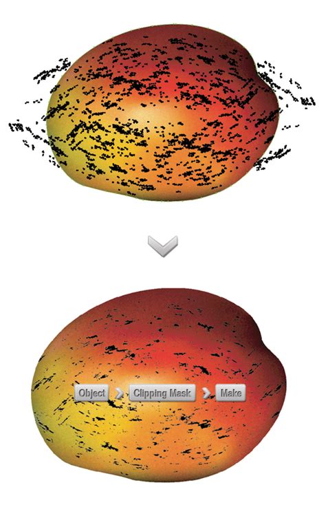 How To Create A Realistic Mango In Adobe Illustrator