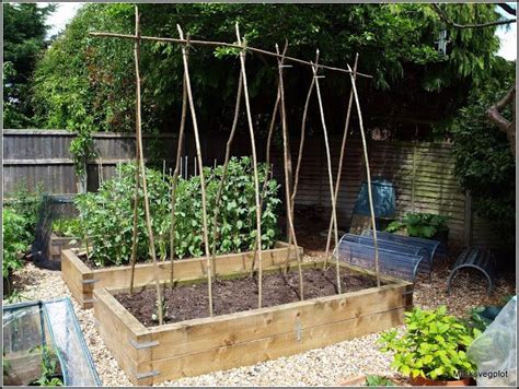 Marks Veg Plot Is A Delightful Blog Well Worth Following If You Are A