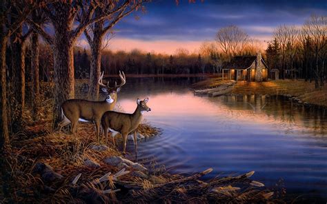 Deer Lake Evening Wall Mural Hirsch Wallpaper Deer Wallpaper York